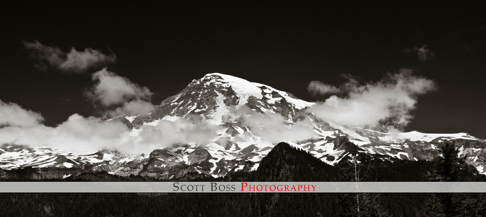 Seattle Featured Image - Mt Rainier