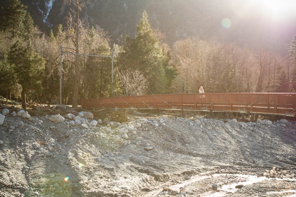 Alex Forest Home Bridge